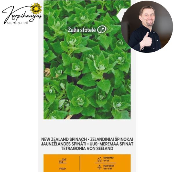 Pinaatti, Uudenseelannin-, lamopinaatti